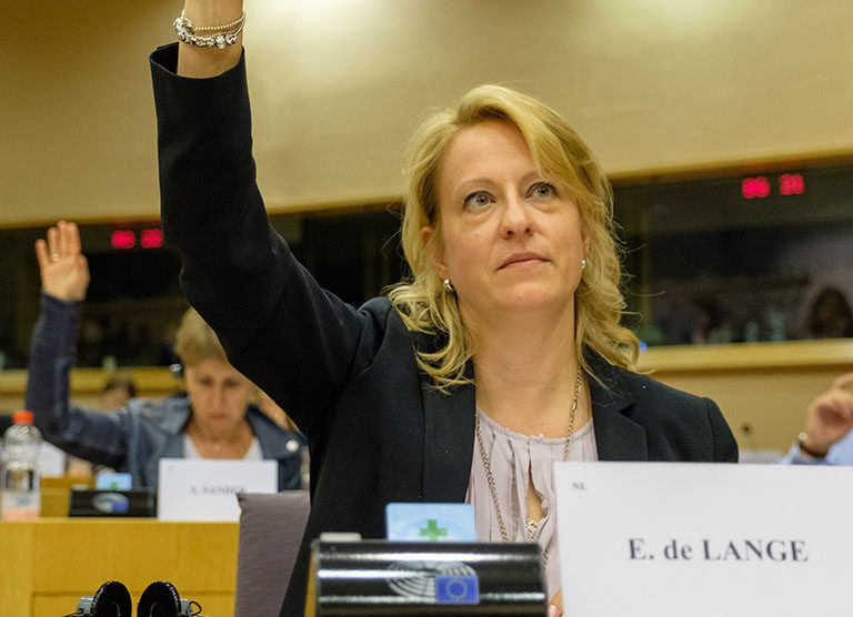 Esther de Lange - Parlementaire Commissies